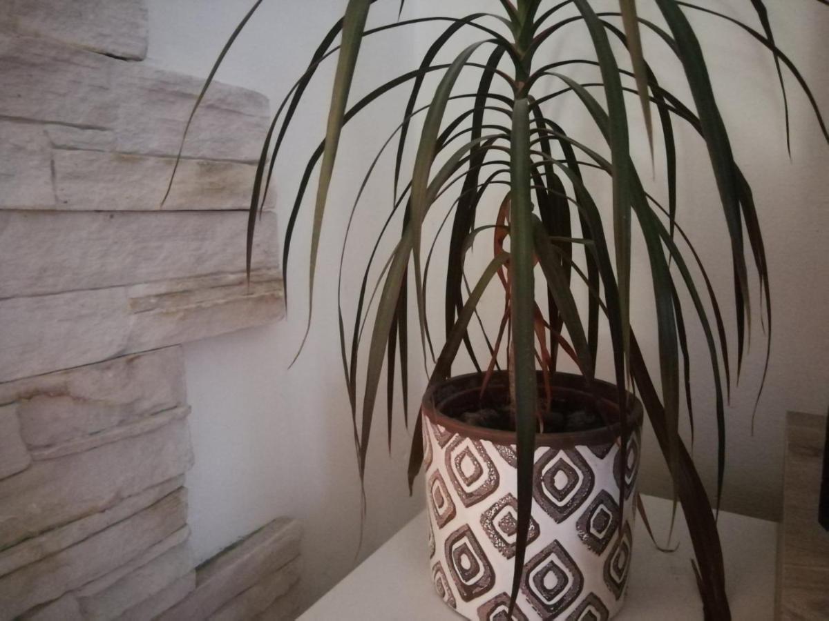 Apartment Green Free Private Parking Novi Sad Exterior foto
